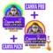Pack Completo - Canva Pro + Artes Editaveis - São +60 Nichos