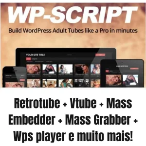 Retrotube + Vtube + Mass Embedder + Mass Grabber + Wpsplayer + Temas