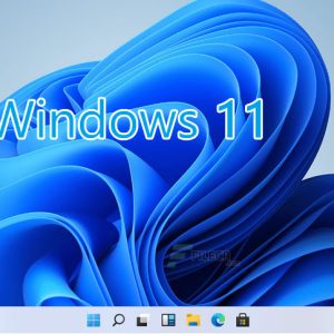 Windows 11 Pro 22000.71 TPM / Sem TPM